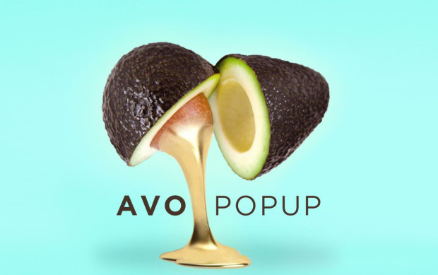 avocado-pop-up-e1459268018865