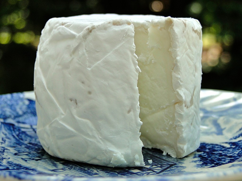 cheese-567367_1920