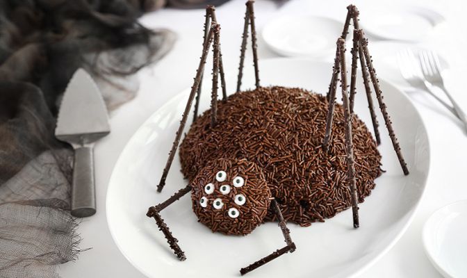 chocolate-spider-cake-beauty-1