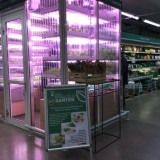 A Berlin, un supermarché installe une micro ferme dans ses rayons