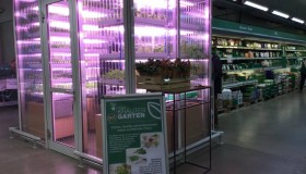 A Berlin, un supermarché installe une micro ferme dans ses rayons