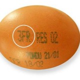 Stop aux poules élevées en batterie : comment boycotter ces œufs !