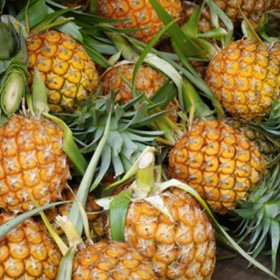 Ananas