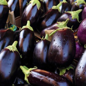 Aubergine