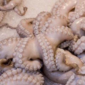 Calamars