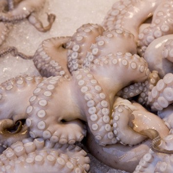 Calamars