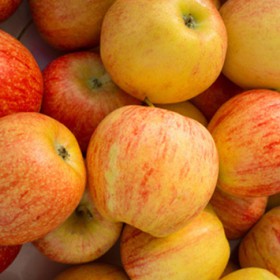 Pomme