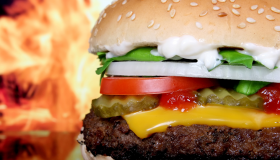 C’est la science qui le dit : il vaut mieux manger deux burgers qu’un burger et des frites