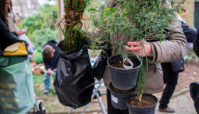 Vente de plantes à petit prix par la Mairie de Paris