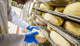 Le fromage source d’électricité !