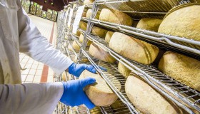 Le fromage source d’électricité !