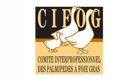 CIFOG