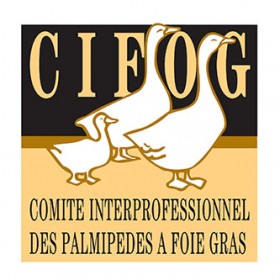 CIFOG