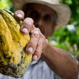 Le commerce équitable pour les nuls