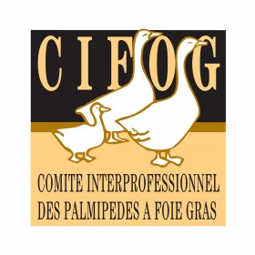 CIFOG
