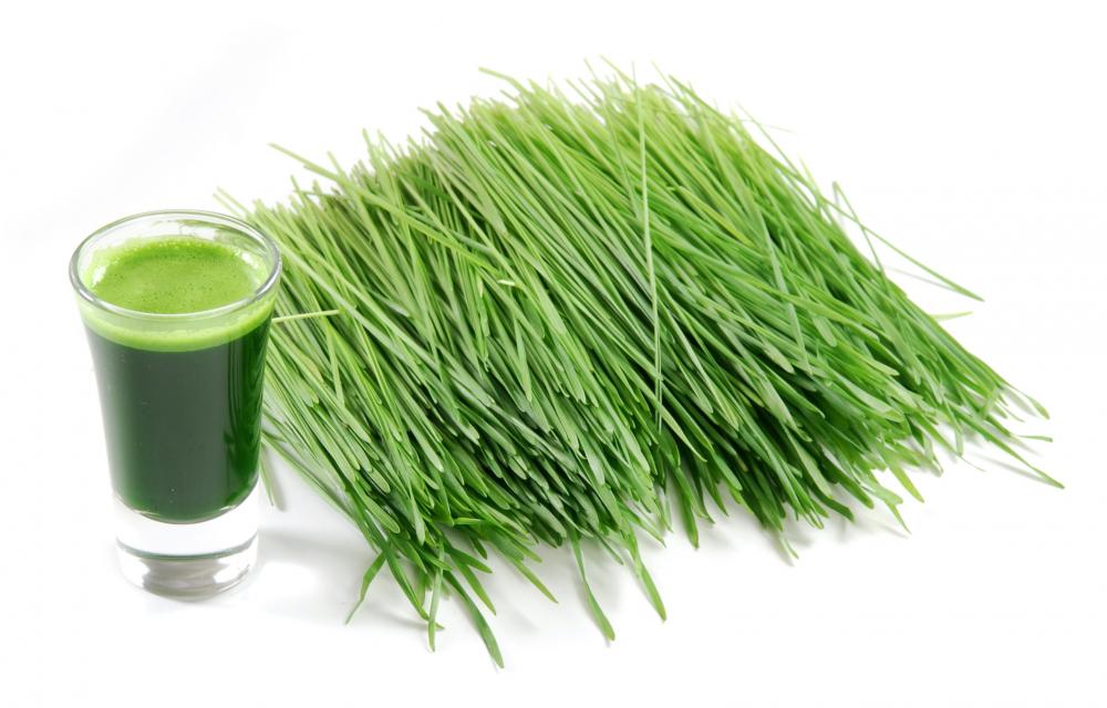 jus-herbe-de-ble