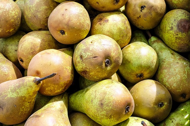 pears-1350462_640