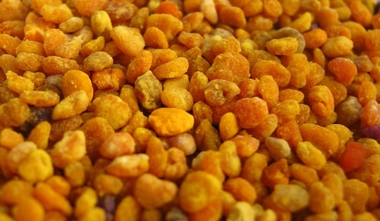 pollen-736551_960_720