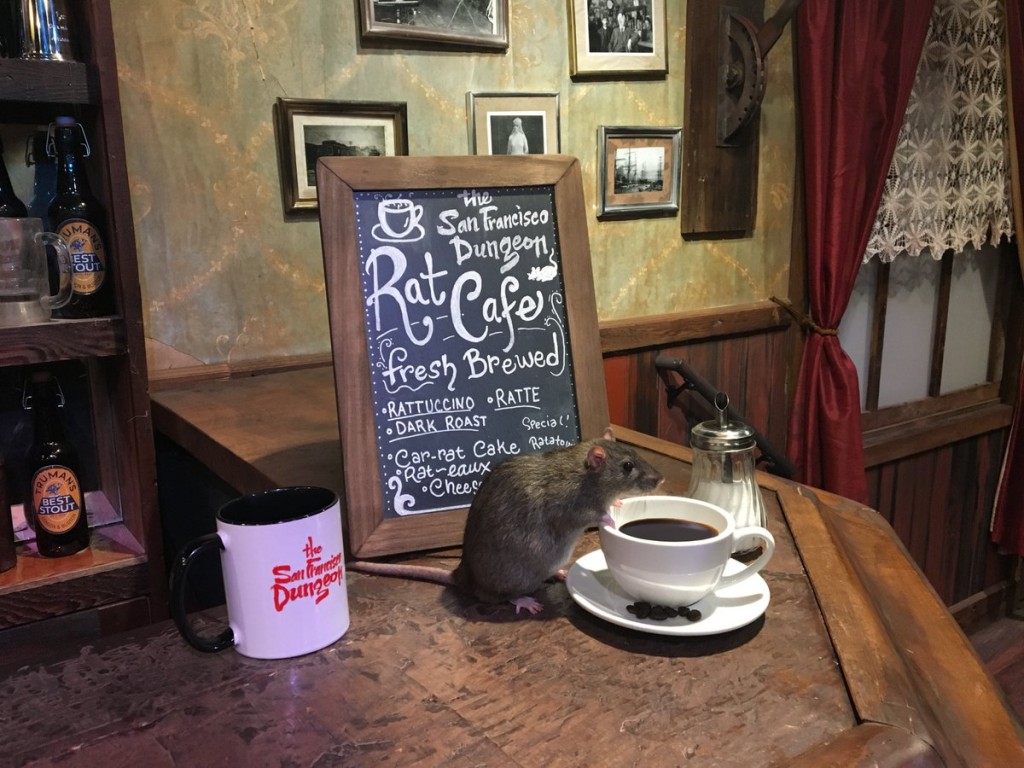 rat café