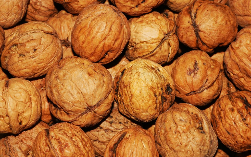 walnut-101425_1920